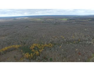 Property photo 1 - REAL ESTATE AUCTION - 1,428+/- ACRES OFFERED IN 10 TRACTS IN PRICE CO., WI